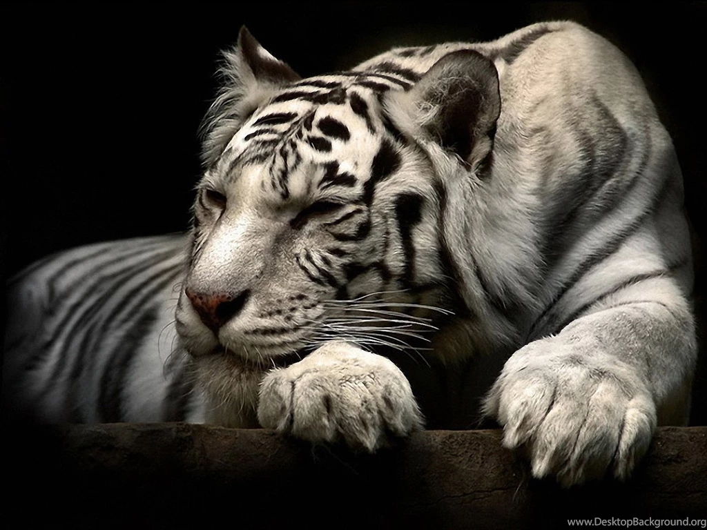 Best Wallpapers Hd Ever