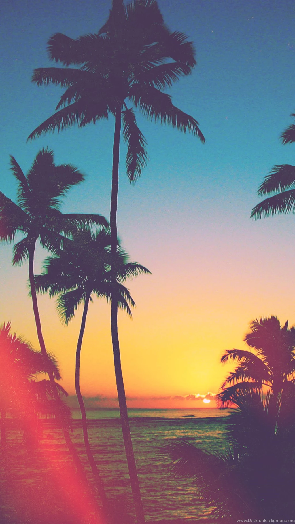 Tropicool – iPhone 5/6 Wallpapers