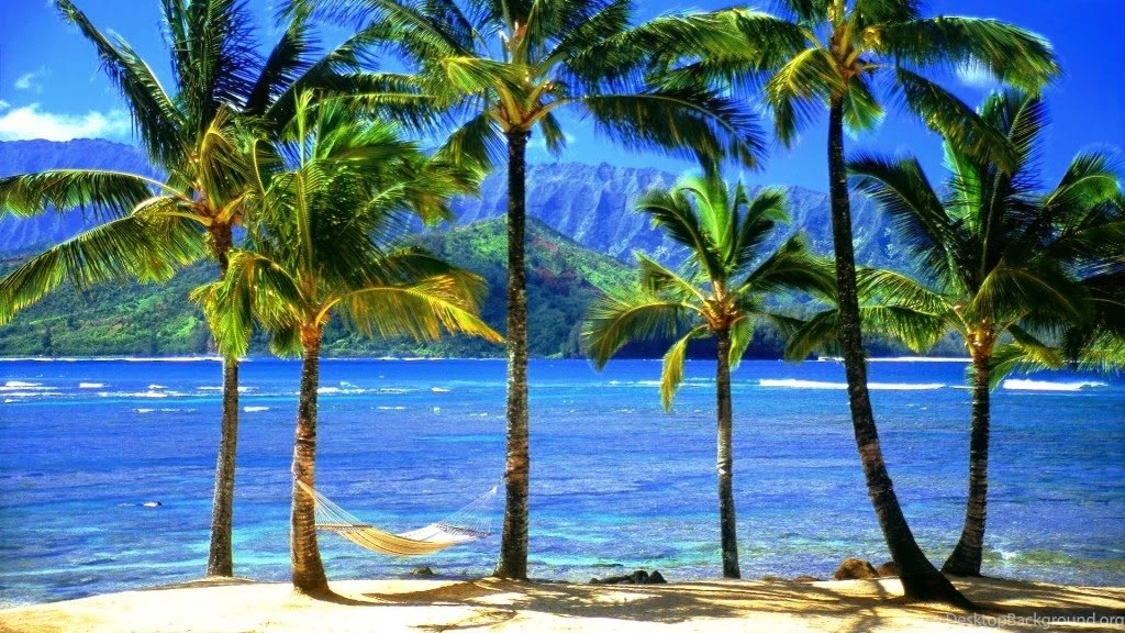 16 Hawaiian Flowers Desktop Backgrounds Wallpapers 309 :: Hawaiian ...