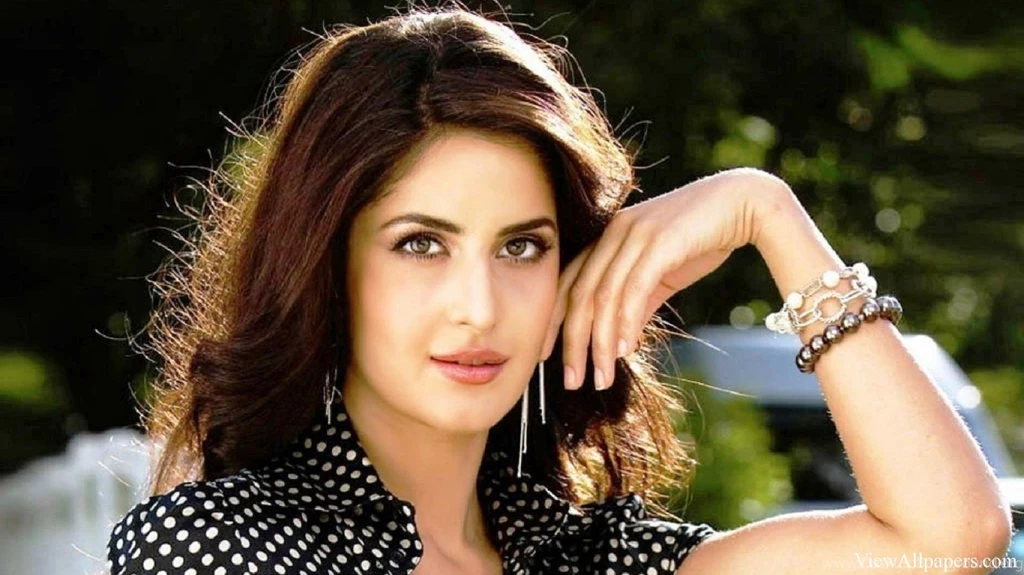 Katrina Kaif Wallpapers Hd Desktop Free Download