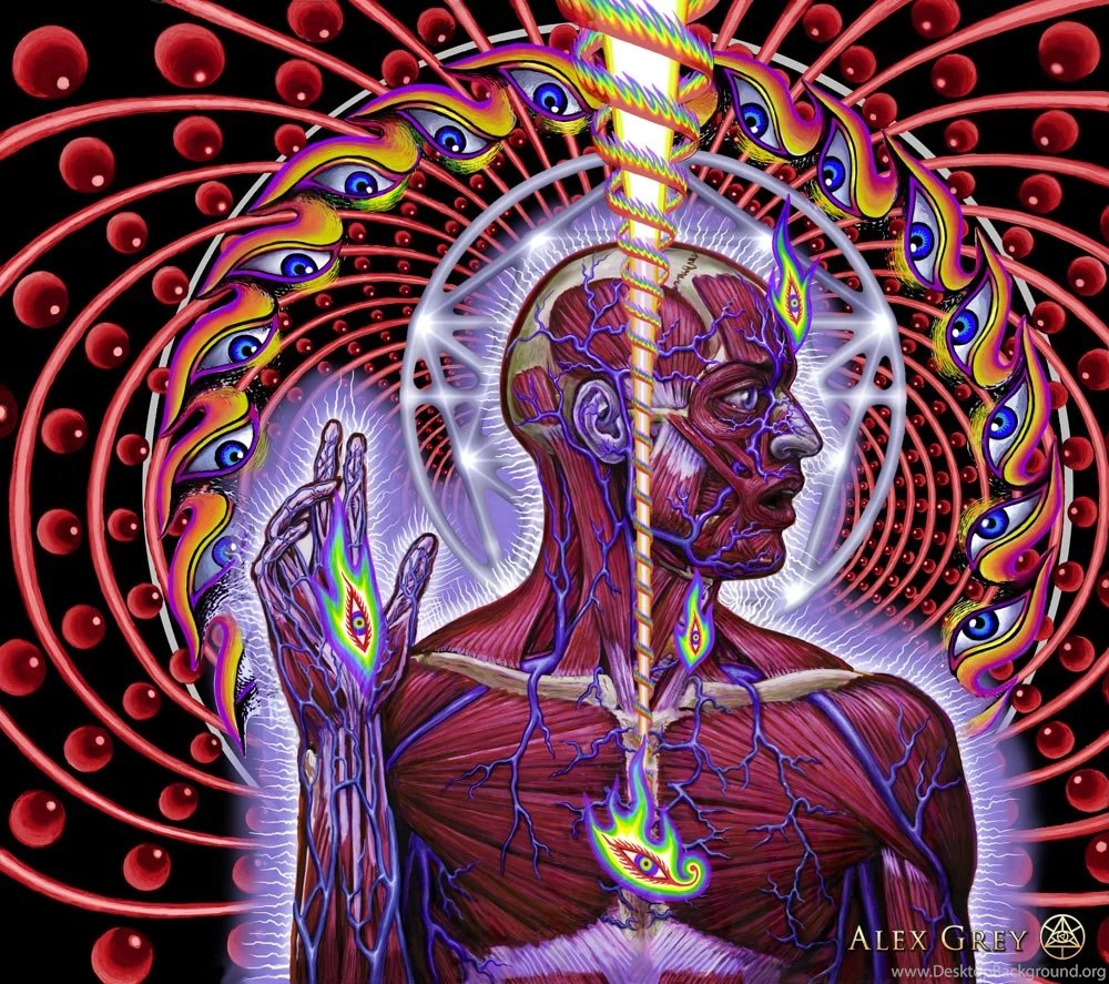 Alex Grey Tool Lateralus