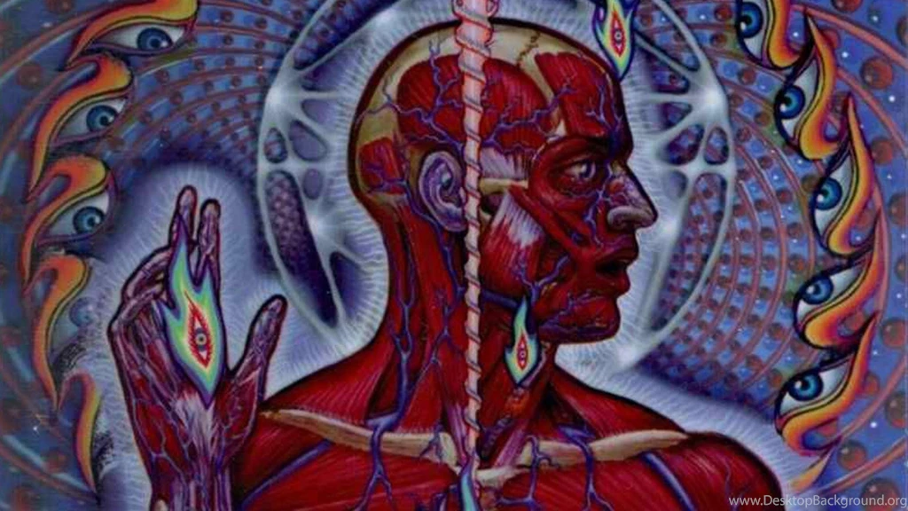 Tool Wallpapers (