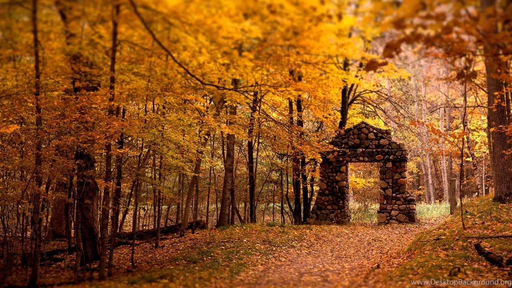 Cool Halloween Wallpapers 10 HD Wallpaper Backgrounds