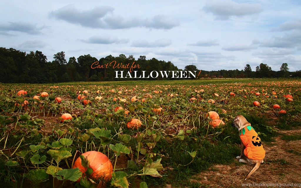 Halloween Wallpapers, Halloween Desktop Backgrounds On Kate.net ...