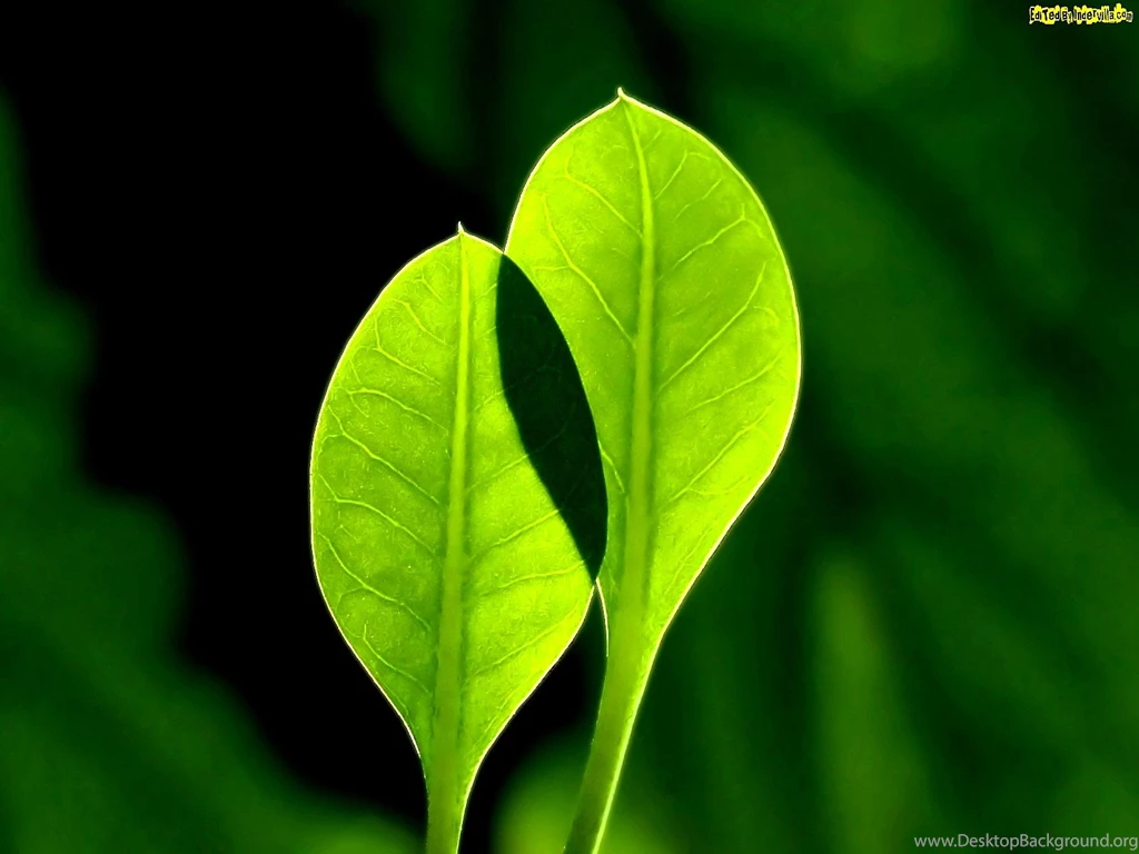 HD Wallpapers Source Page 434 Of 489 100% Quality HD Desktop ...