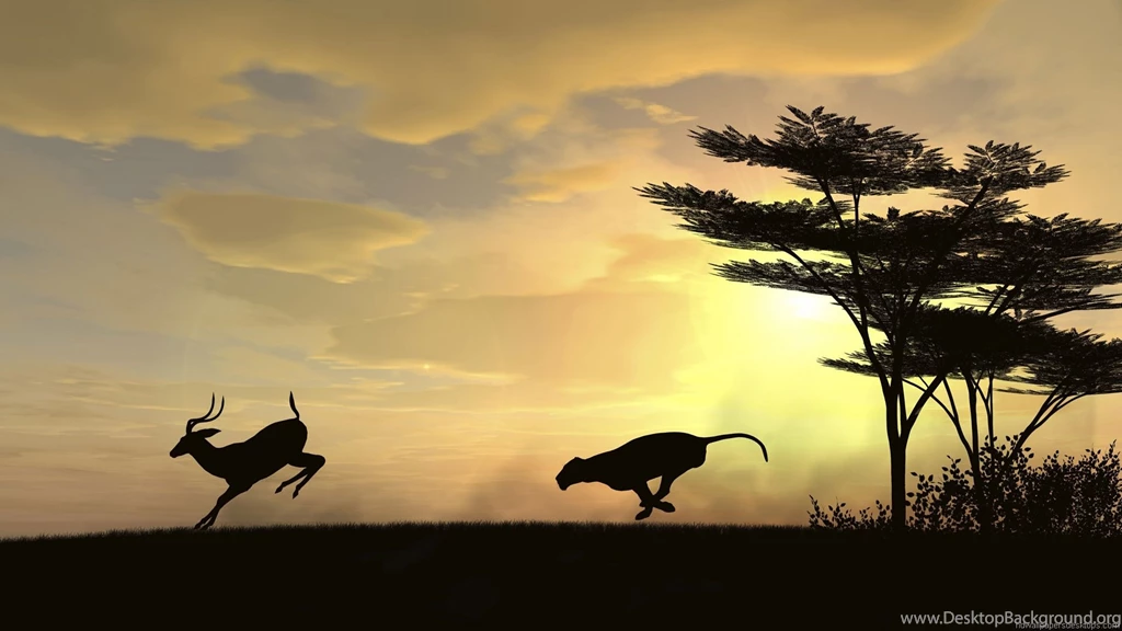Animal Wallpapers Hd
