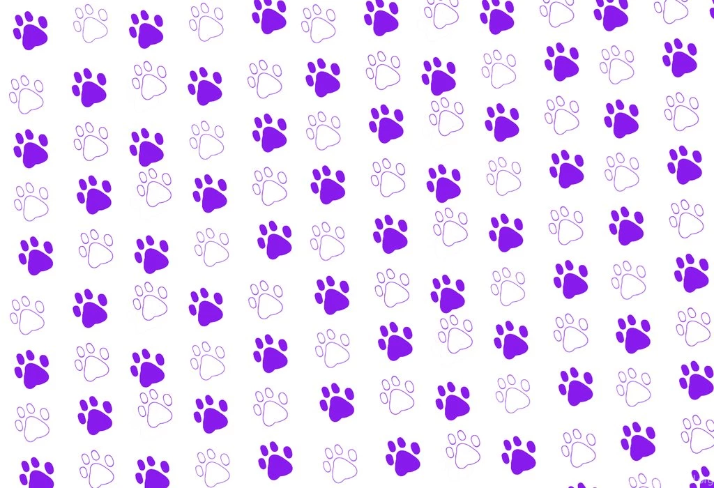 Paw Prints Wallpapers   Wallpapers Cave