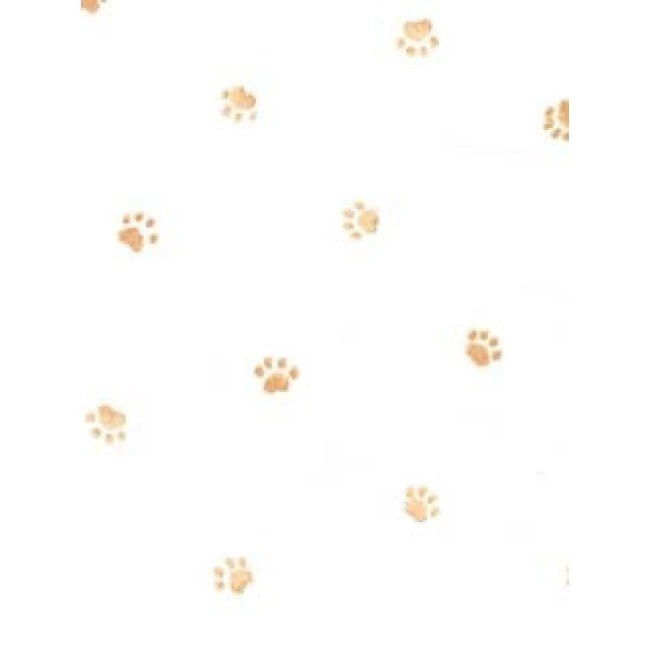 Brown Paw Prints On White Animal Wallpapers All 4 Walls Wallpapers