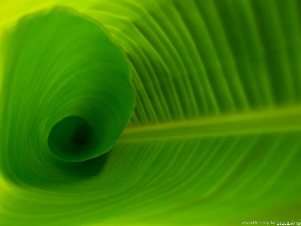 Free Cool Green Wallpapers Mobile @3EJ « Wallx