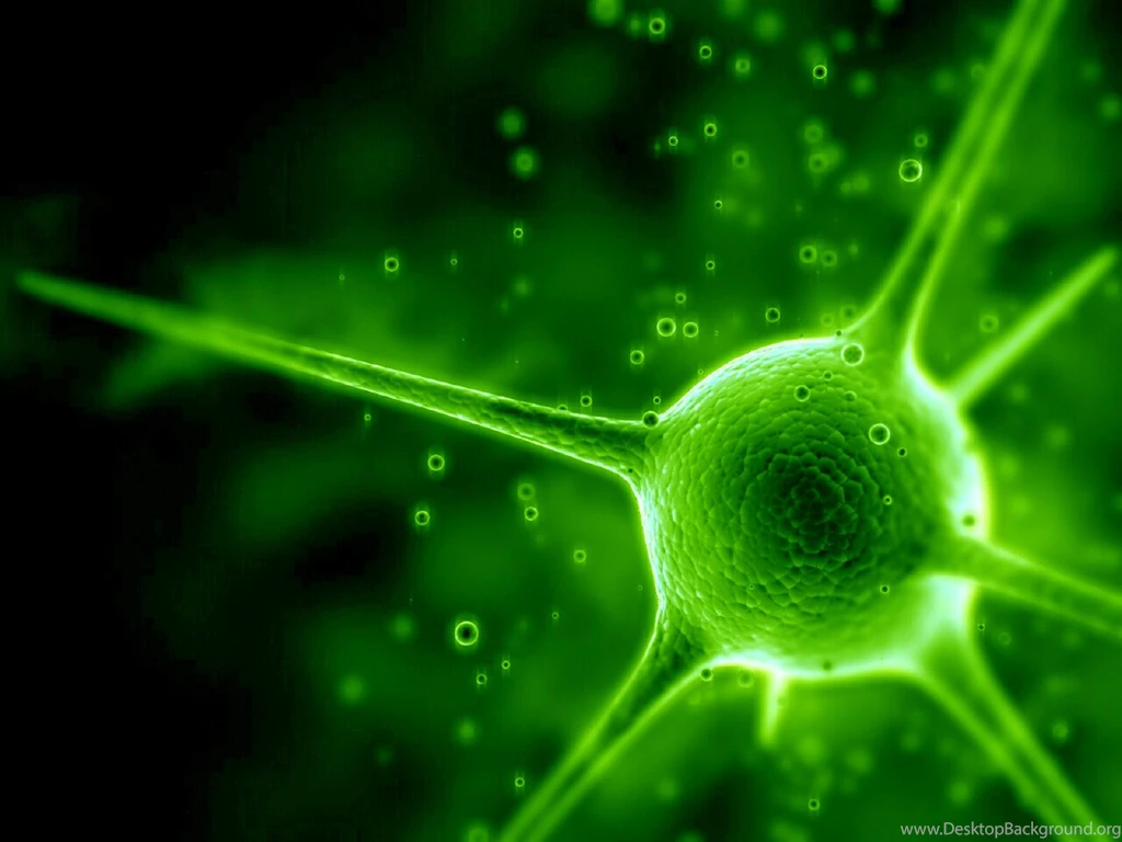 Free Cool Green Wallpapers HD Resolution @SKV « Wallx