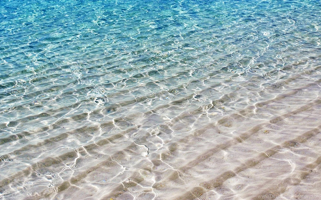 Wallpapers Seashore On The Free Pictures 1920x1200