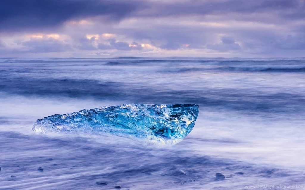 Fog On The Shore Wallpapers