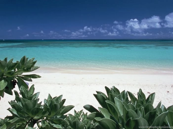 Empty Seashore Wallpapers Placid Beach In Okinawa Island, Japan ...