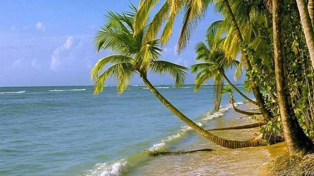 Seashore (