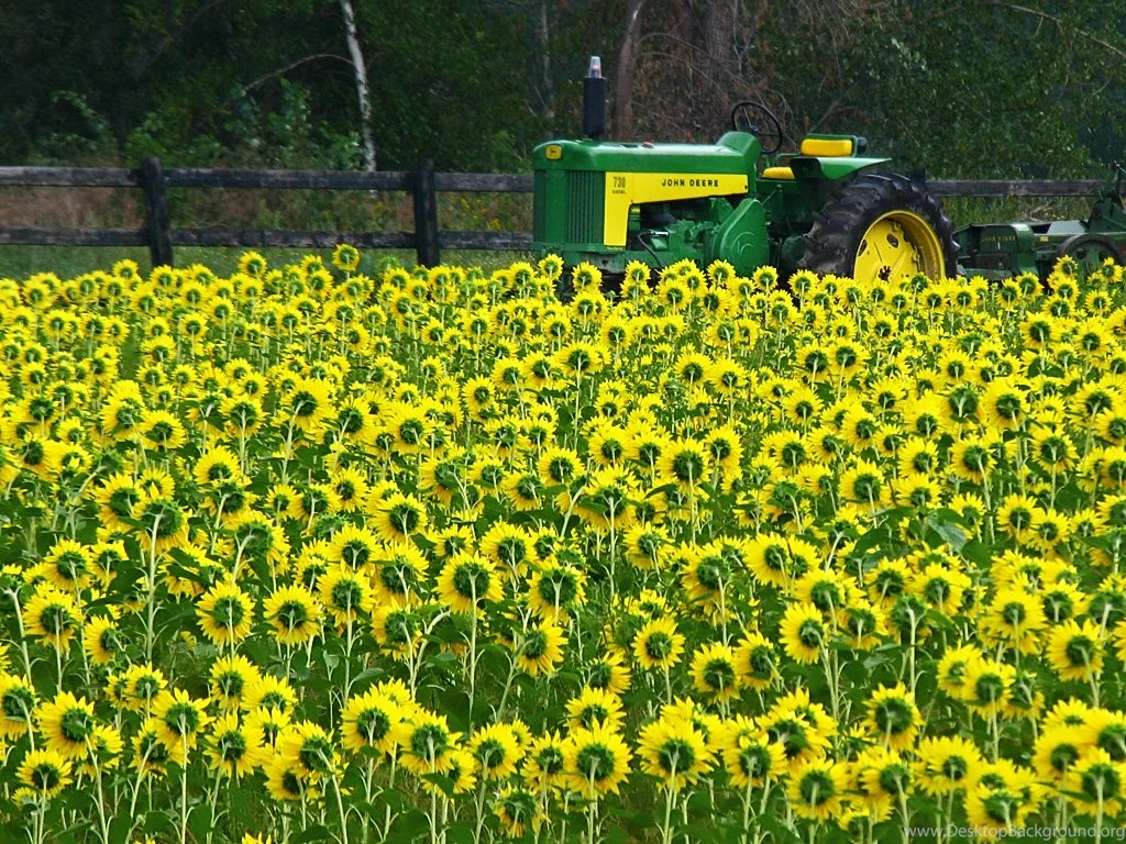 RePin Image: Pink John Deere Wallpapers On Pinterest