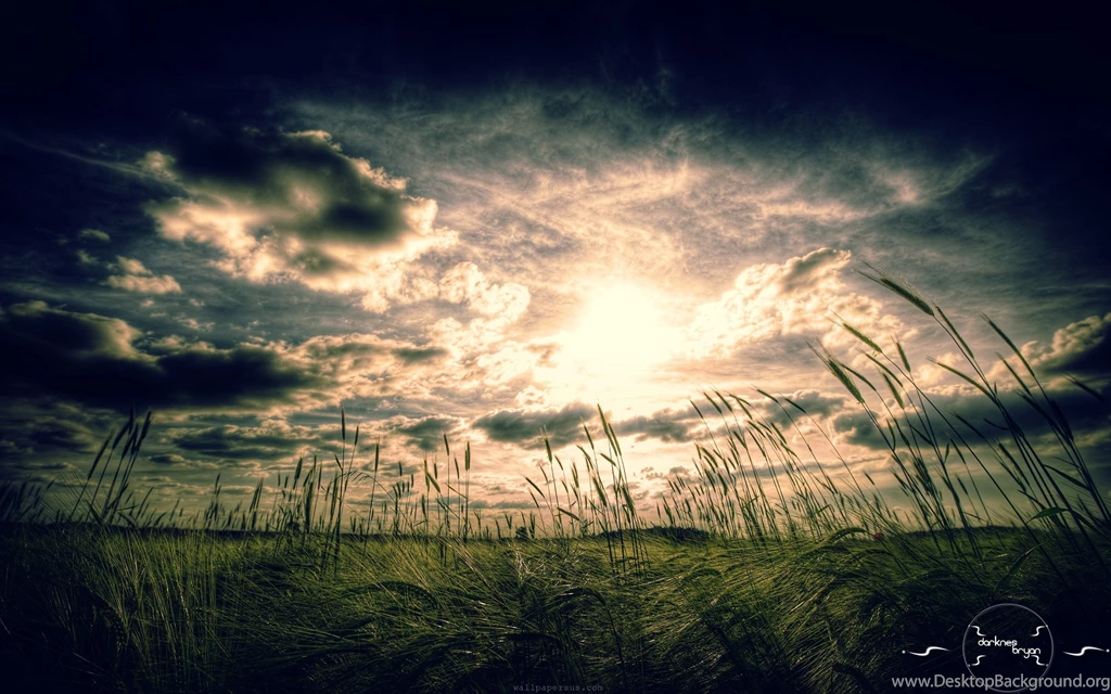 Landscapes nature vintage cornfield Magic4Walls.com