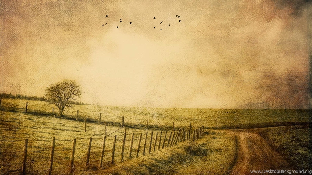 Grass Nature Old Roads Vintage Wallpapers