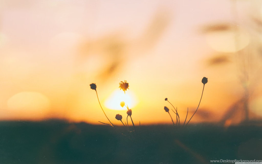 Nature Scenes Wallpapers Full HD [3840x2400]   Free Wallpapers Full ...