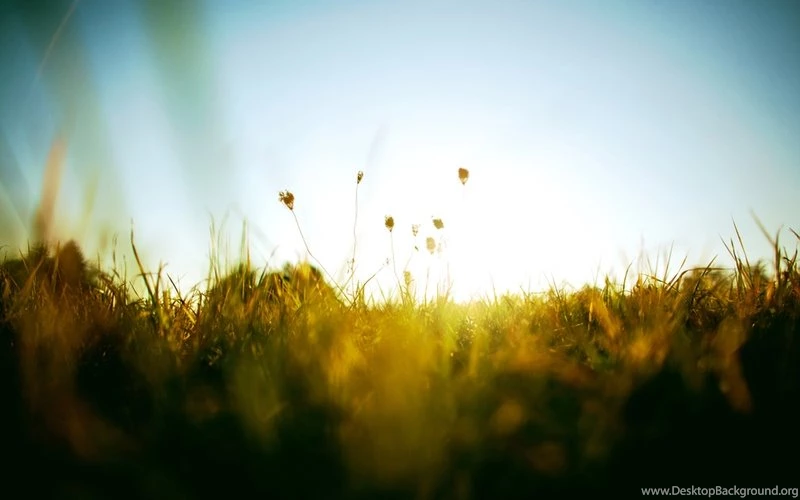 Vintage Waterfall Hdr Photography Rivers 1366x768 Wallpapers ...