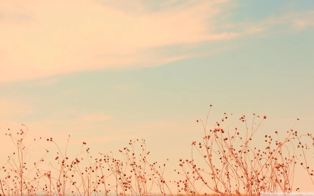 PINK SKY WALLPAPER (