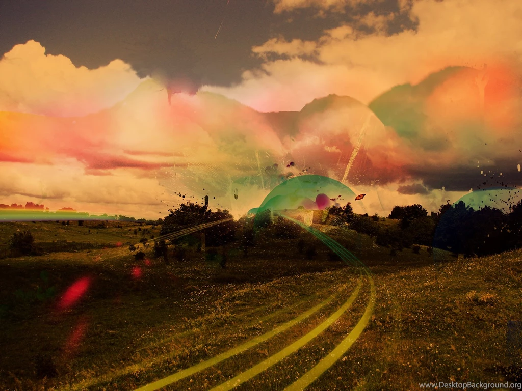 Nature In Circles Vintage