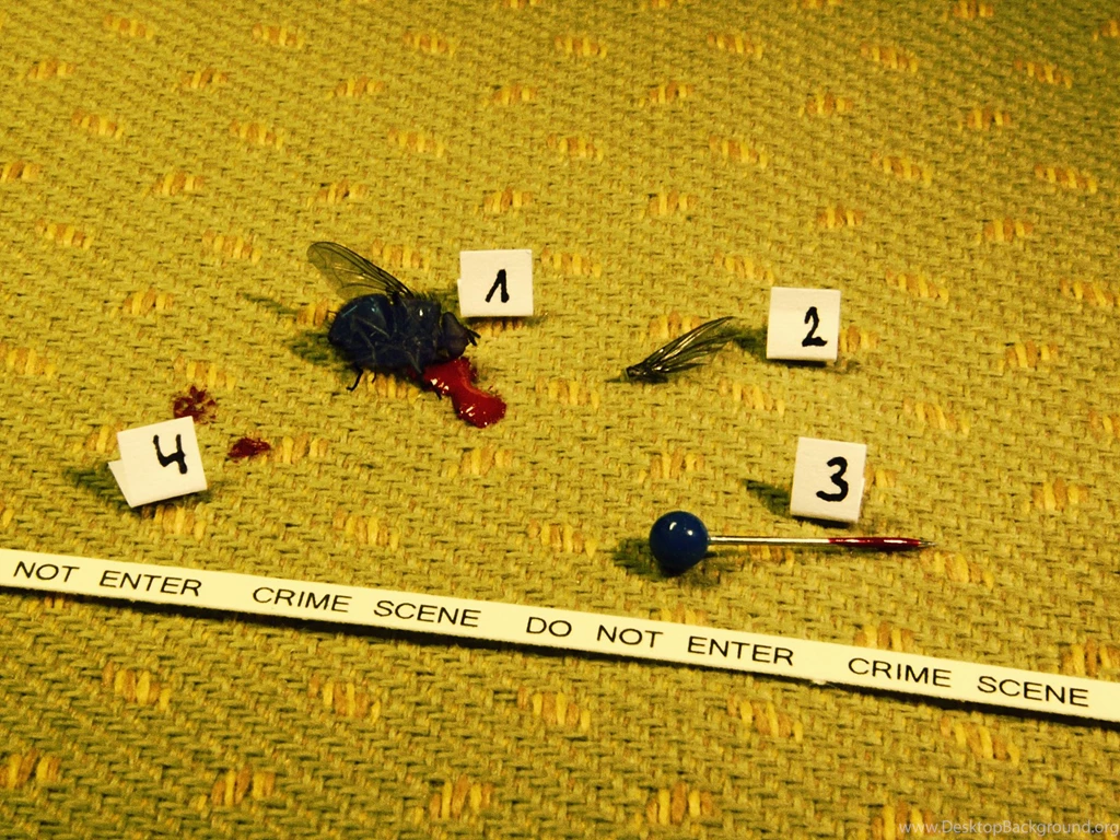 Crime Scene Wallpapers Random Wallpapers (36440903) Fanpop