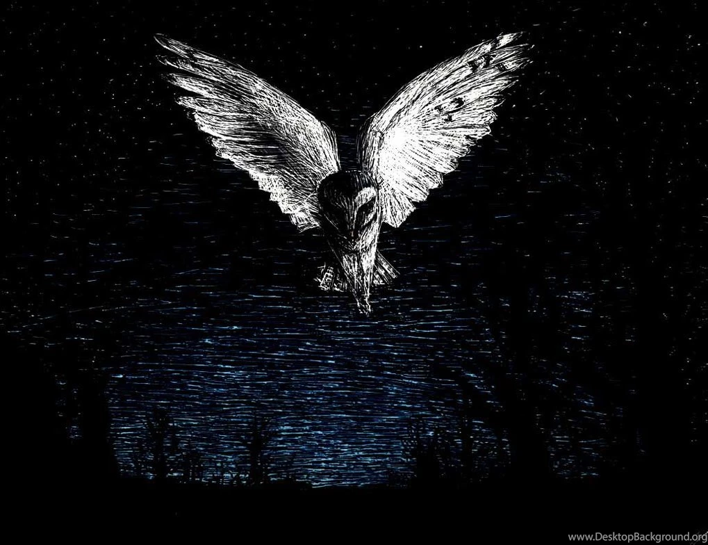 Barn Owl By Breshvic On DeviantArt
