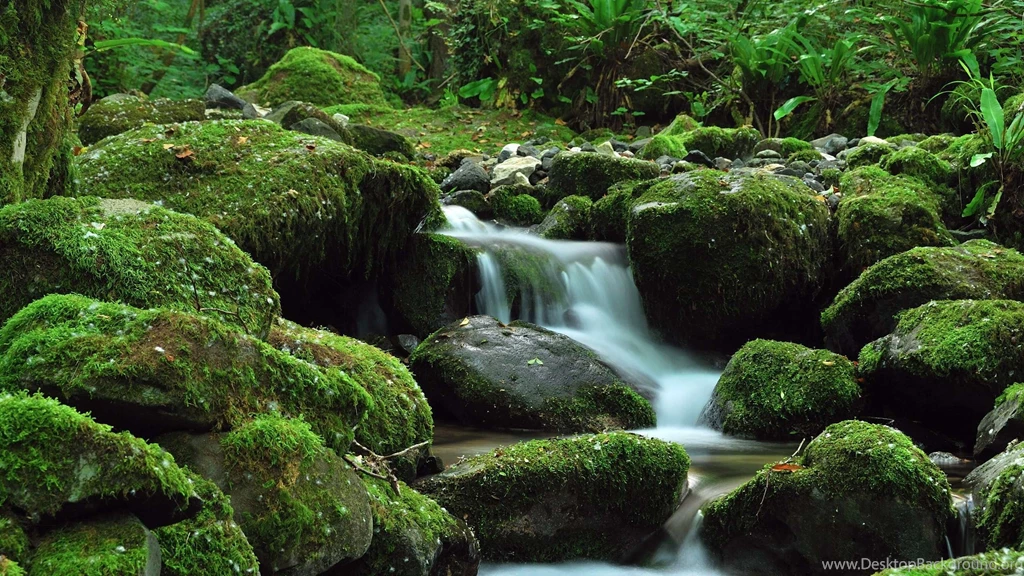 Scenery WideScreen Wallpapers