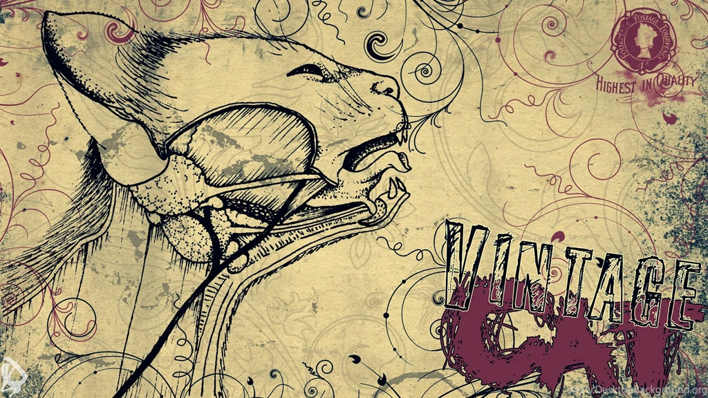 Vintage Beautiful Wallpaper Backgrounds