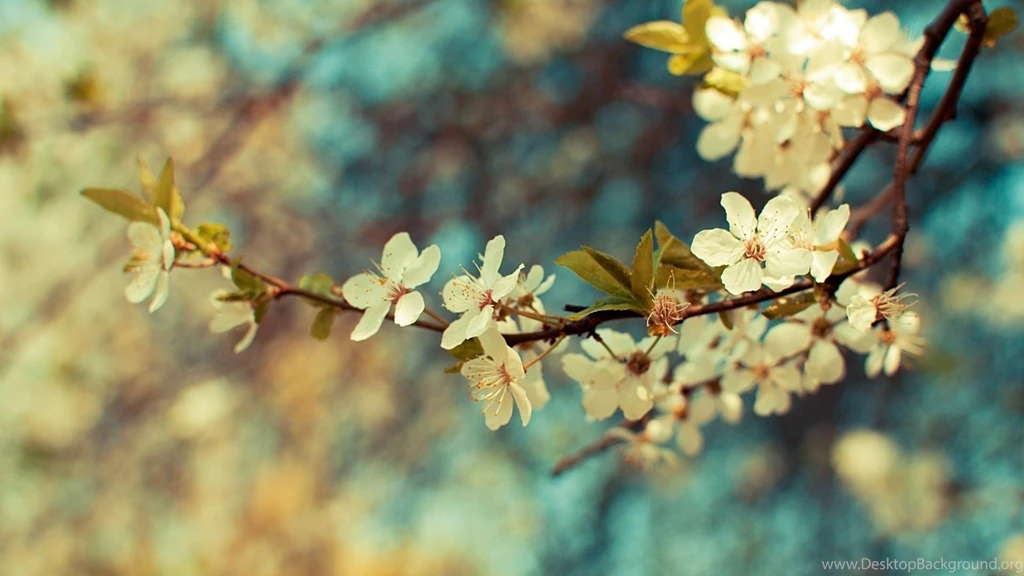 35+ Vintage Photography Wallpapers