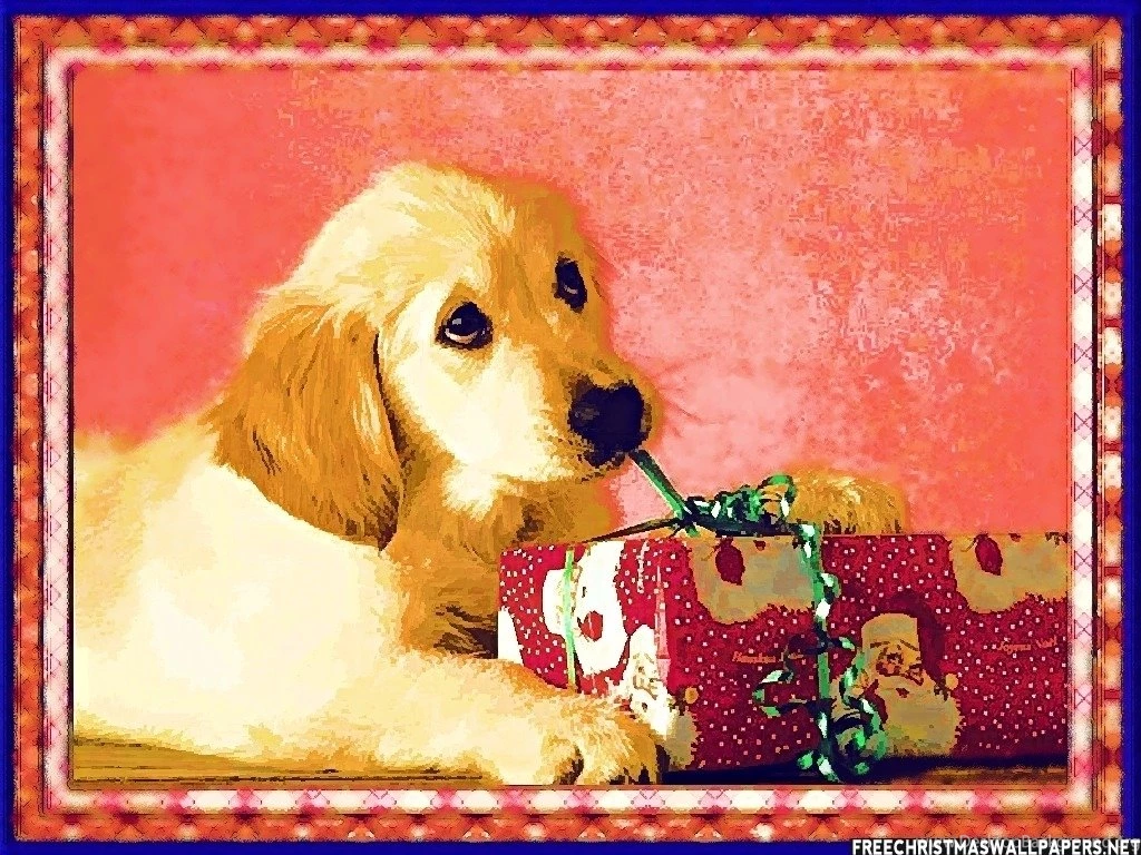 Christmas Dog Wallpapers Teddybear64 Wallpapers (17381746) Fanpop