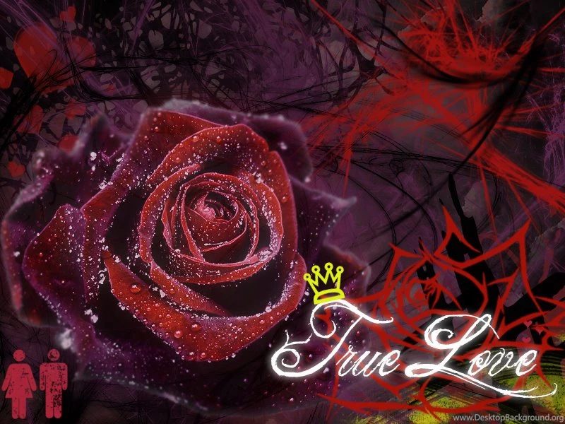 Wallpapers Love Free