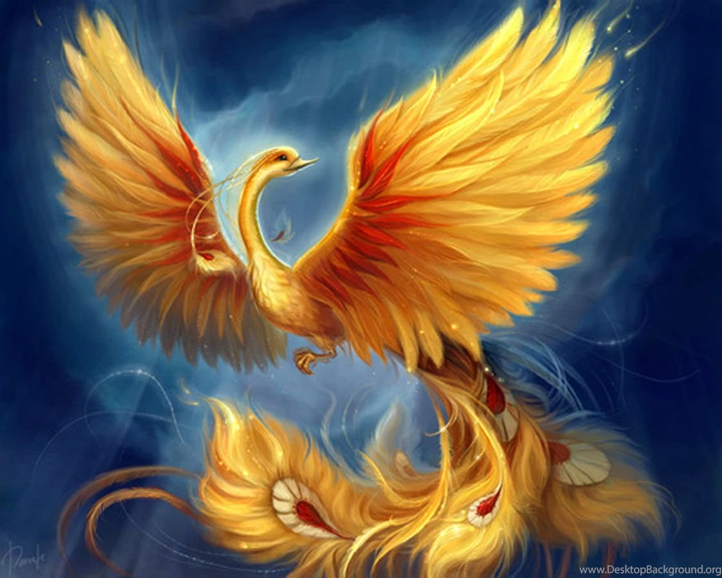 Download Bird Spectacular Golden Phoenix Wallpapers