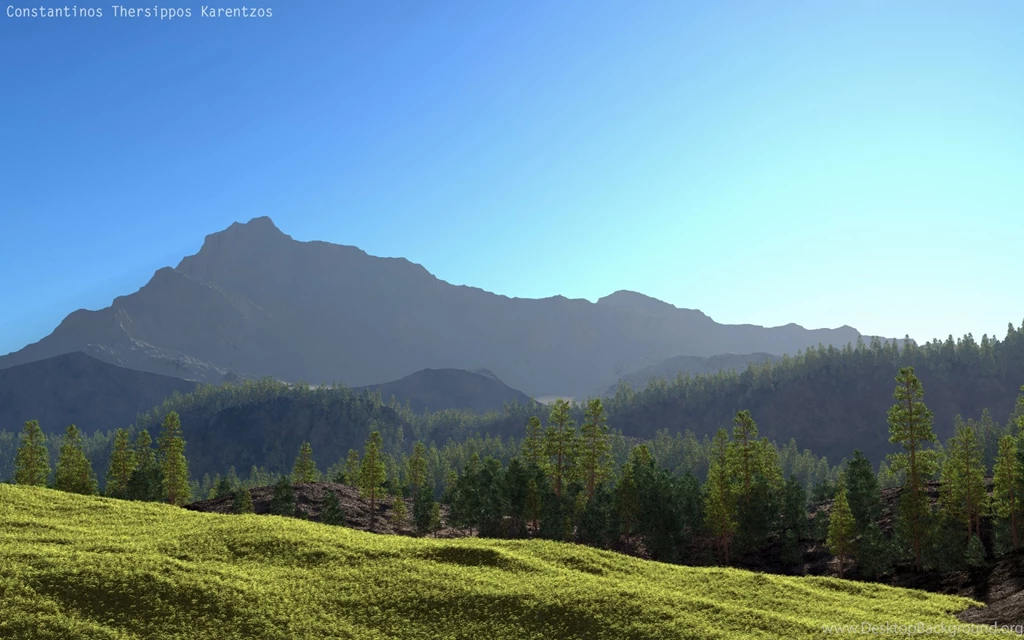 1920x1200 Forest Scene Desktop PC And Mac Wallpapers