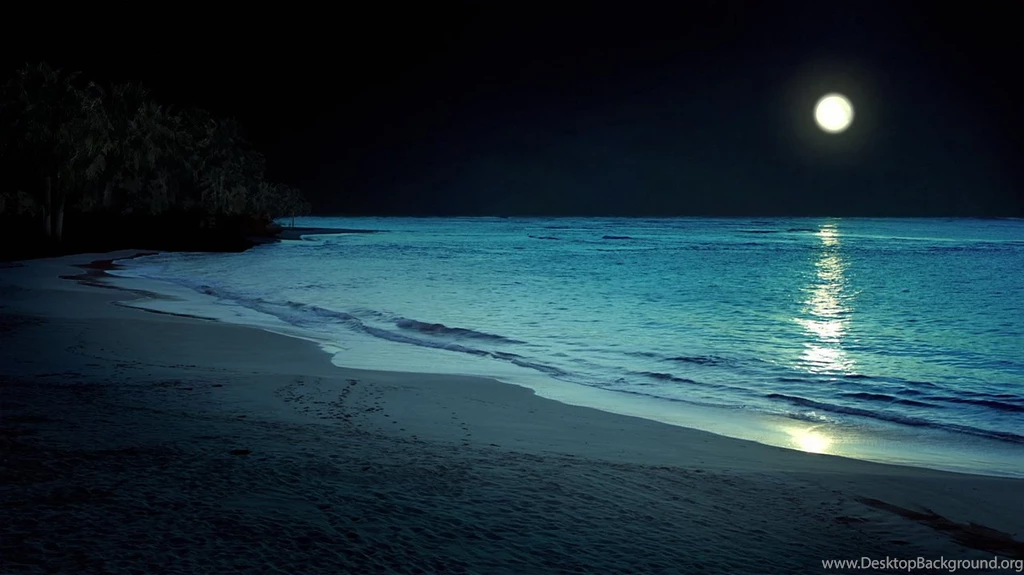 Beach At Night