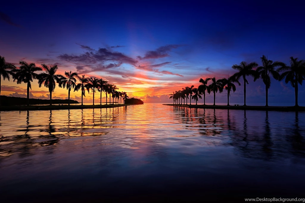 Beach Bridge Cities Florida Marina Miami Monuments Night Panorama ...