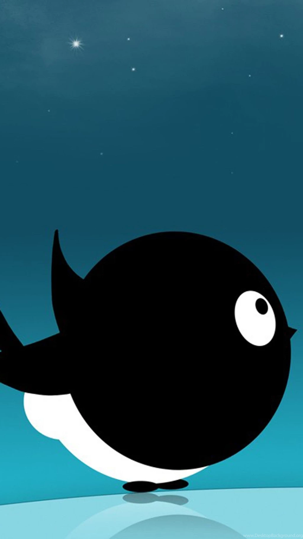 Cute Black Bird Cartoon Android Wallpapers Free Download