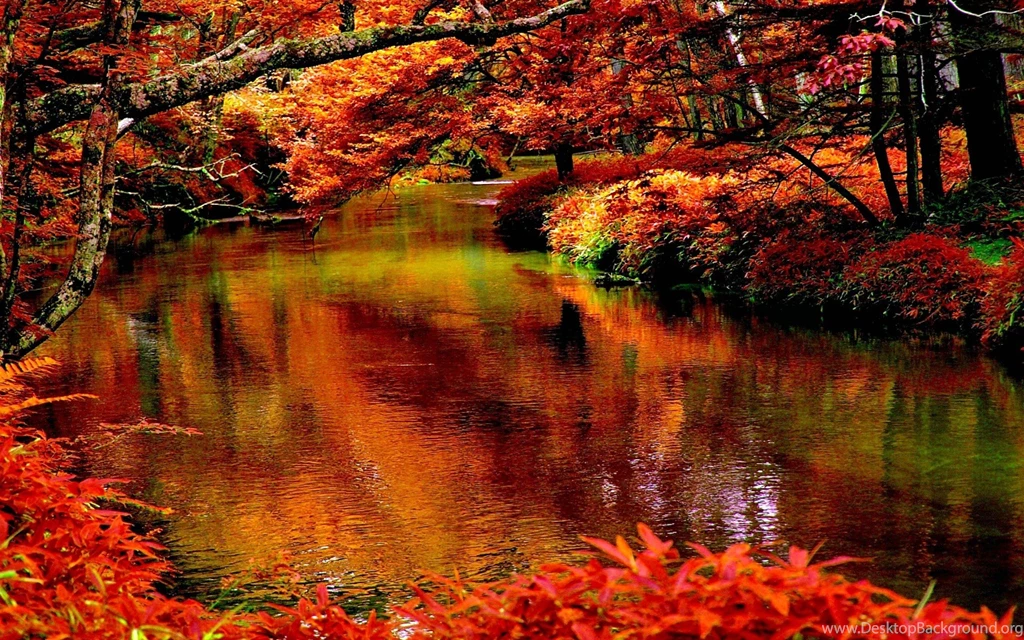Rivers: River Autumn Scene Forest Trees Free Desktop Wallpapers For ...