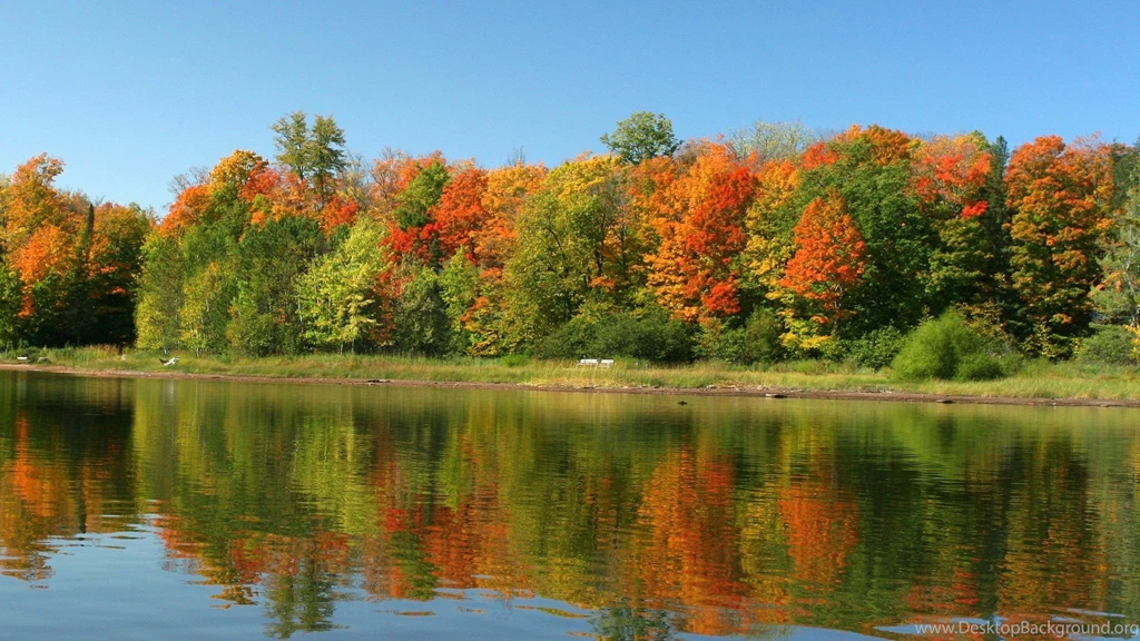 Nature, Scene, Lake, View (