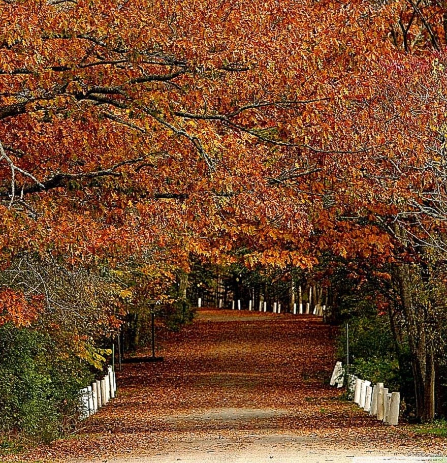 Autumn Scenes Desktop Wallpapers