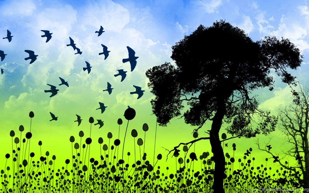 1440x900 Birds Over Grass Desktop PC And Mac Wallpaper. Birds ...