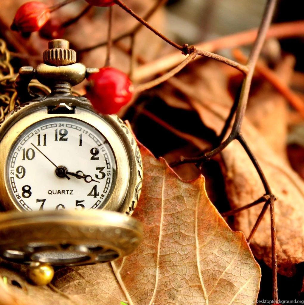 Beautiful Vintage Watch iPad Wallpapers Download