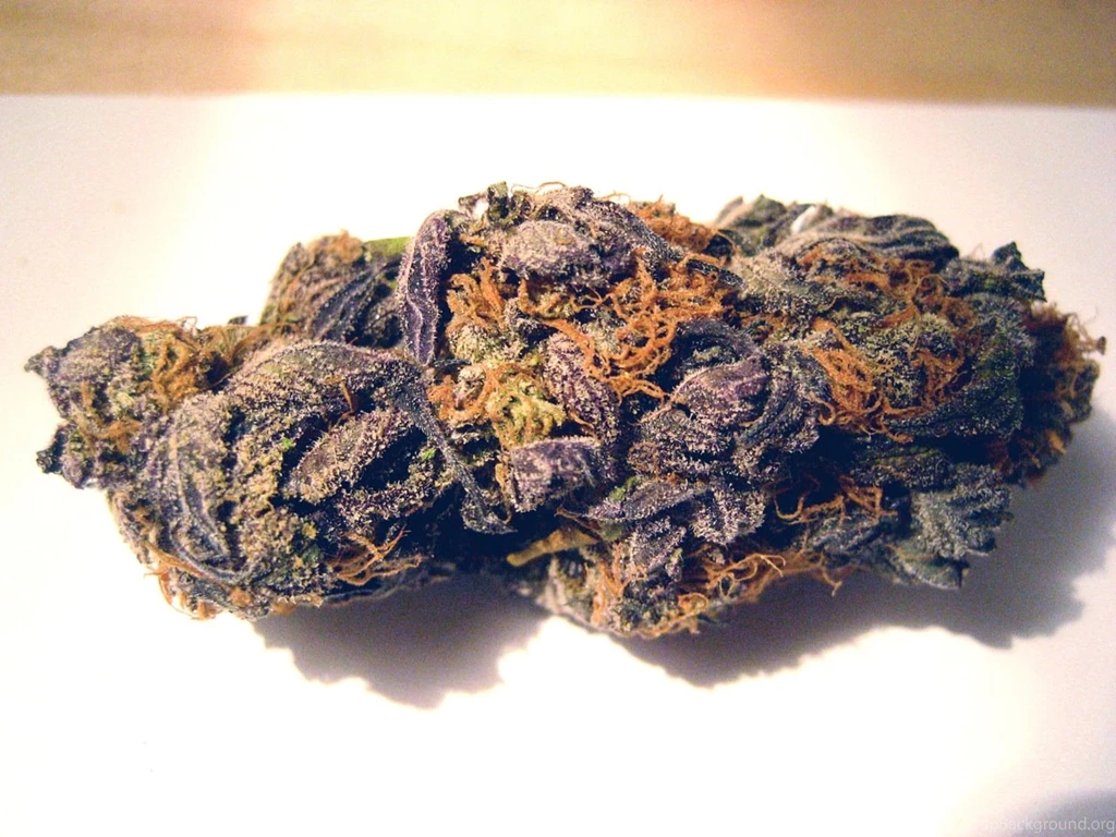 Purple Kush Strain Review