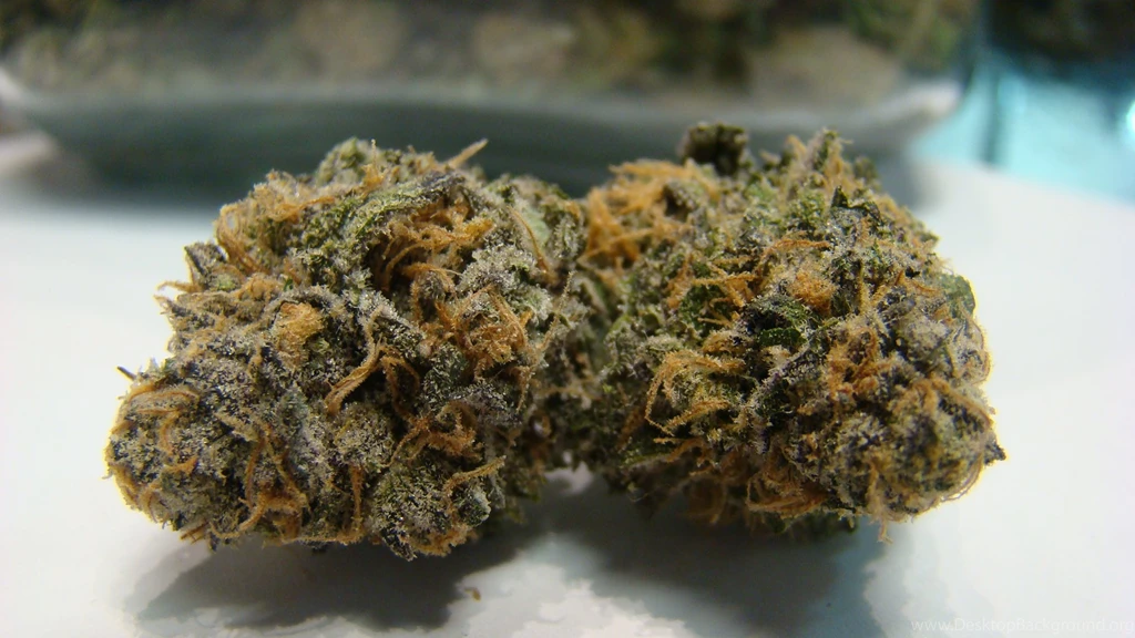 Purple Kush Doctors Orders Co Op