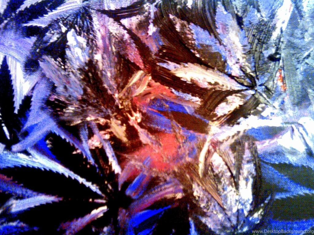Kristine Schloer Purple Kush