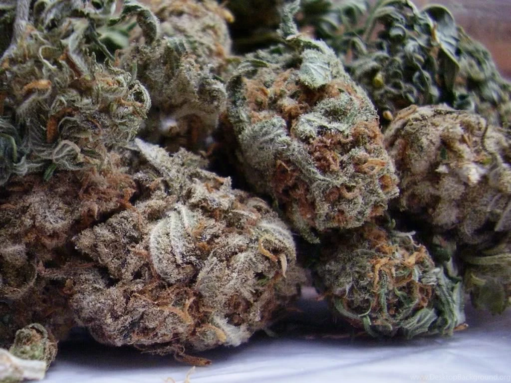 Purple' Kush Macros