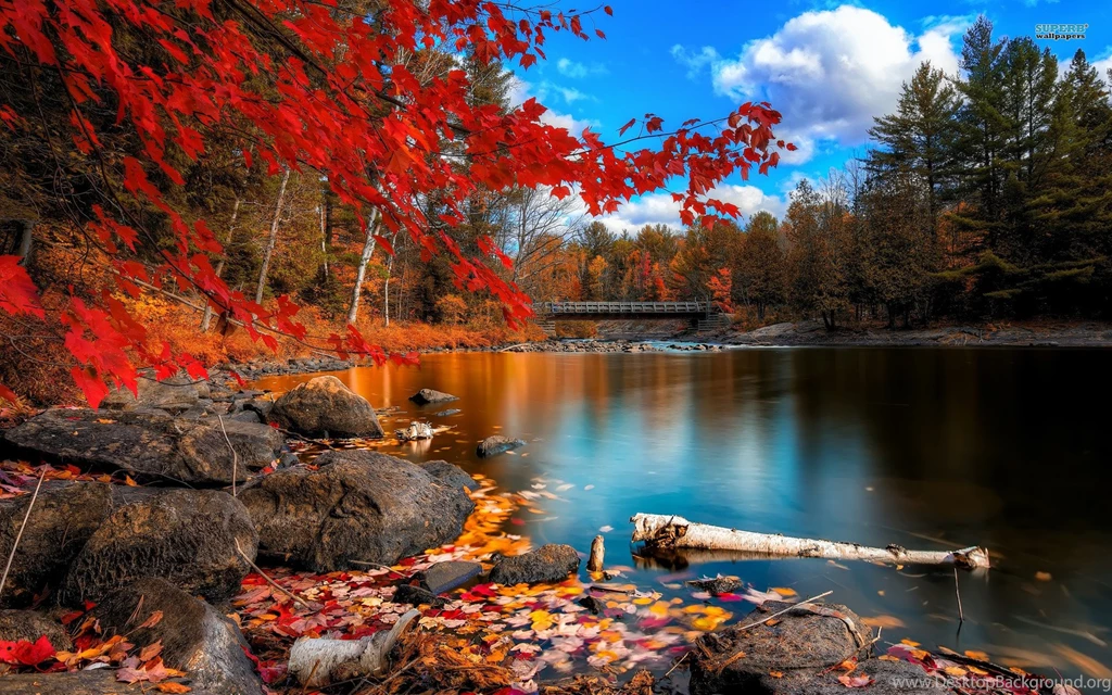 Superb Wallpapers Collection (41+)