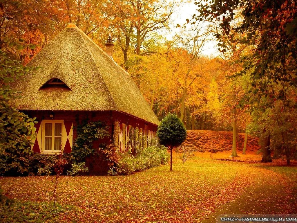 Autumn Scenes Wallpapers 2 Seasonal Crazy Frankenstein