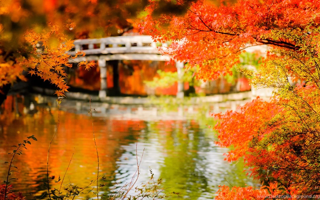 Jeffrey Friedl's Blog » Visiting My Photo Archives: Random Pretty ...