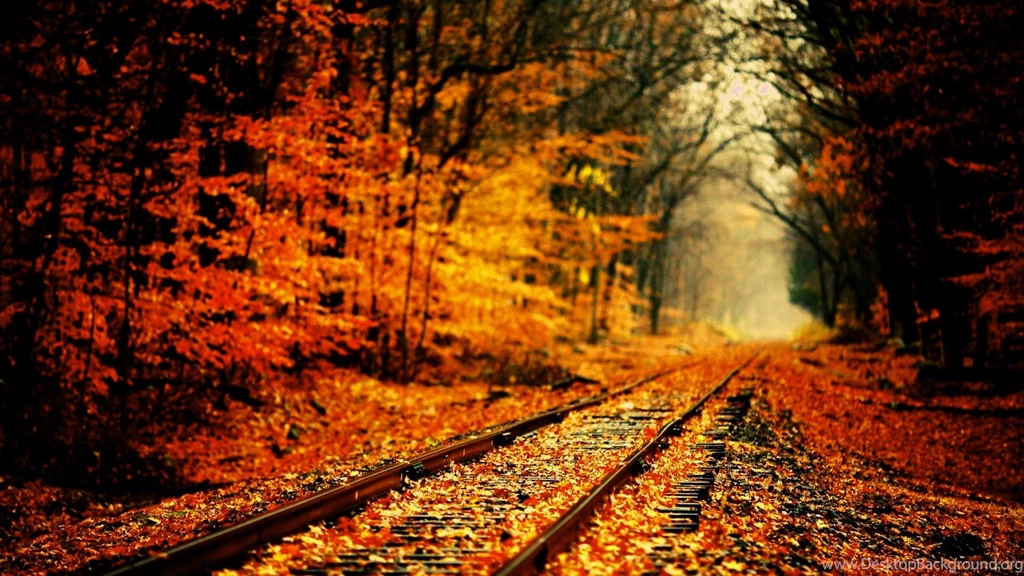Autumn Widescreen Wallpapers – 1280×800 High Definition Wallpapers ...